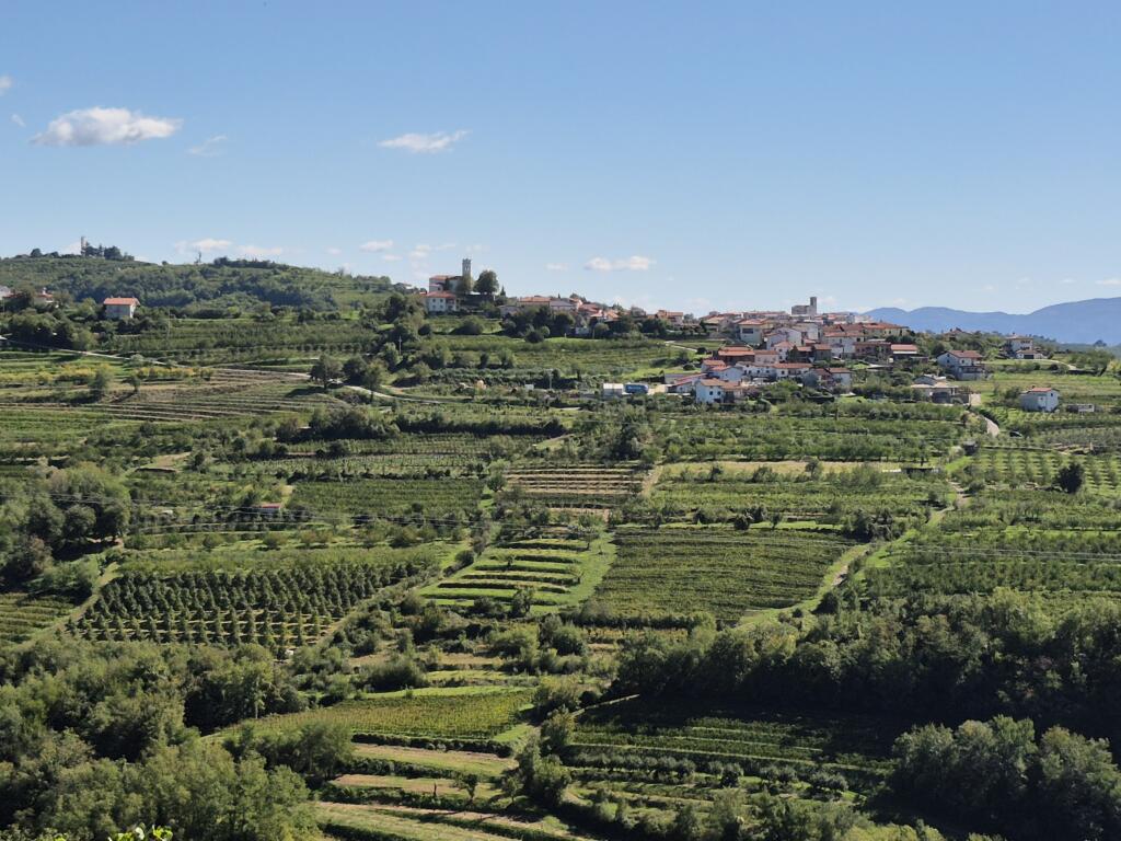 Wijnregio Slovenië